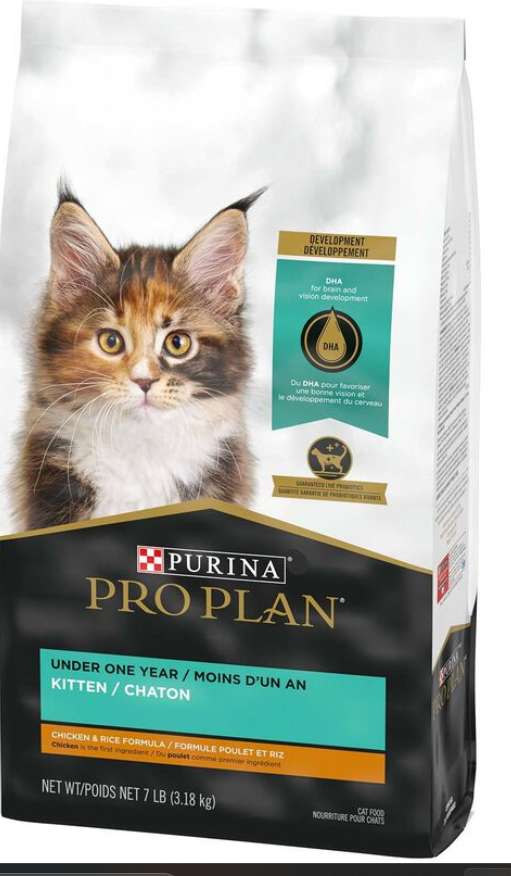 We feed our Maine Coon kittens Purina Pro Plan Kitten Chicken and Rice Formula Dry Cat Food